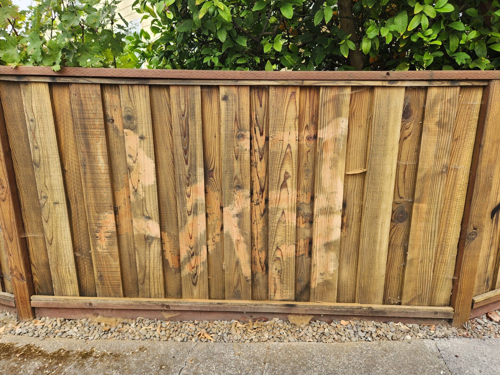 Matching stain freshly applied over sanded graffiti tags on a wood fence in Santa Rosa