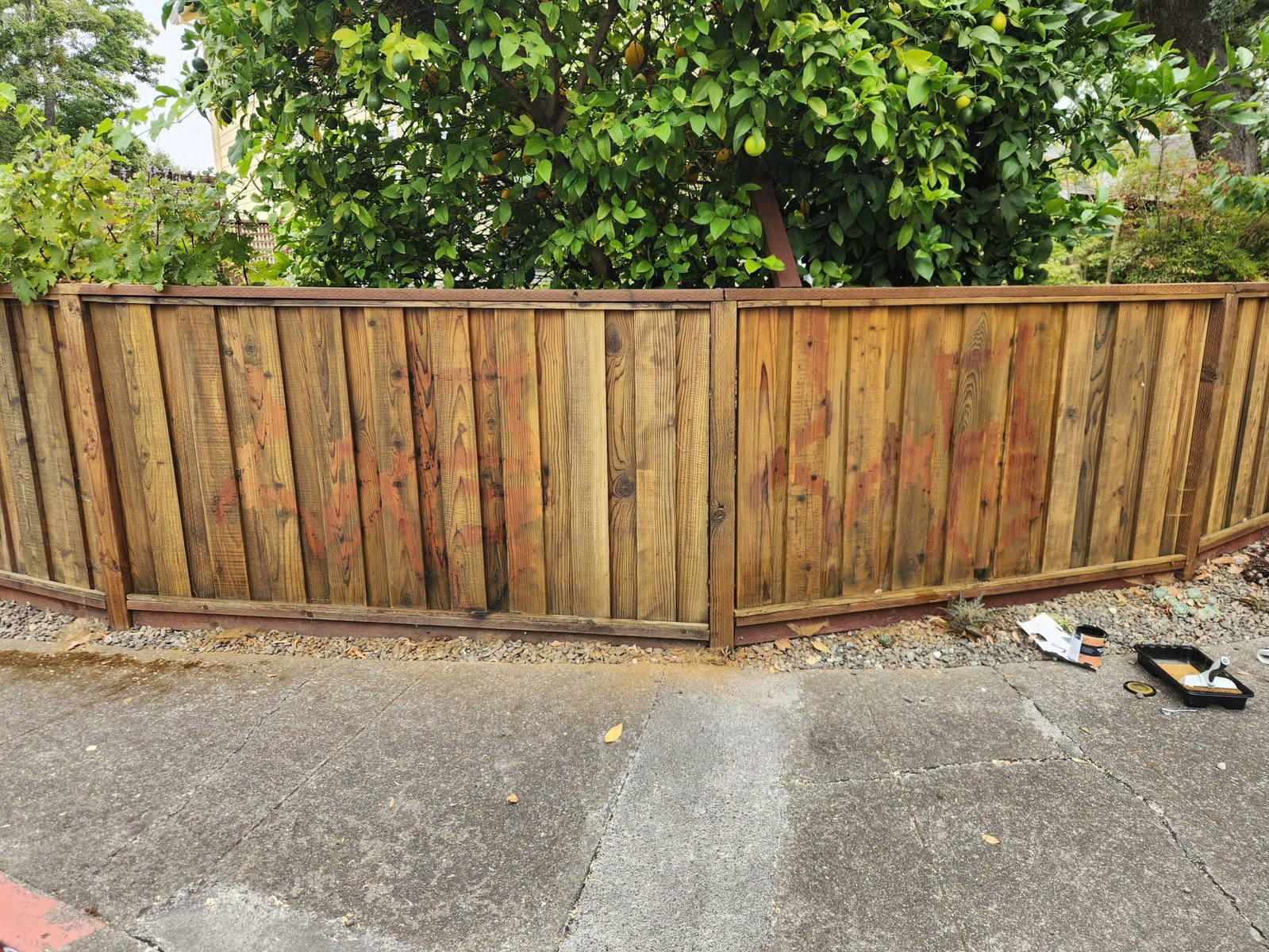 Stain and supplies staged in front of a graffiti-tagged wood fence in Santa Rosa before restaining