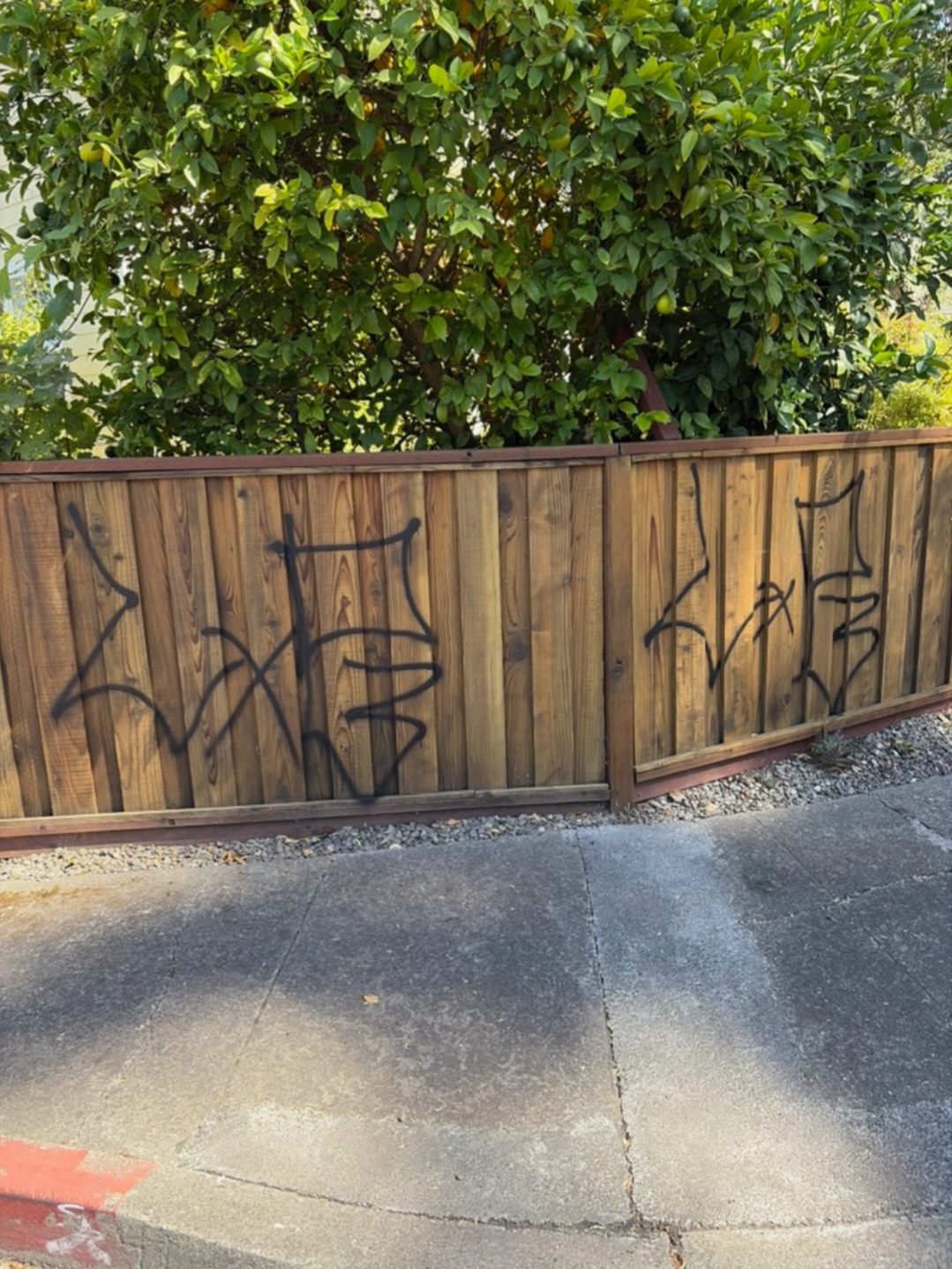 Spray paint graffiti tags on a wood fence in Santa Rosa before removal